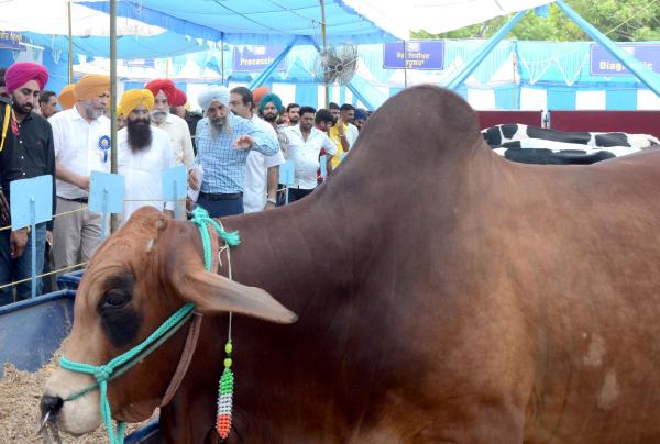 S. Gurmeet Singh Khuddian visting Mela with Dr. Jatinder Paul Singh Gill, Vice-Chancellor and Officials